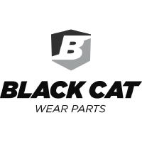 BlackCat-200x200